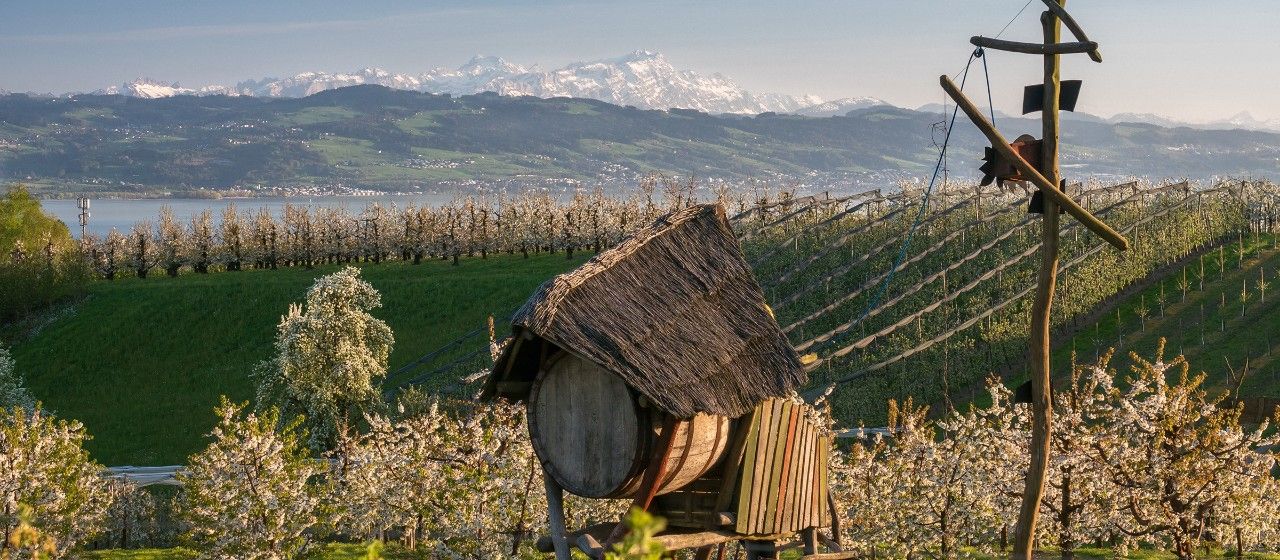 Informationen für Pendler zwischen dem Bodensee und der Schweiz